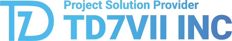 TD7VII INC — Project Solution Provider